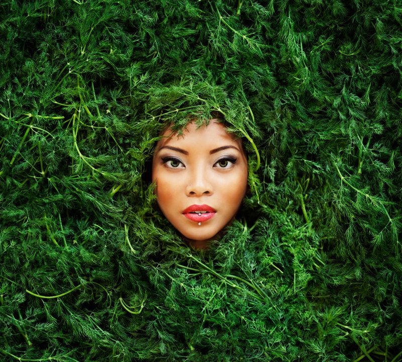 The inspiration of Vanessa Paxton