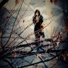 2184119327_f5371e7eba_z