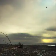 2232895386_9ac6a726e2_b