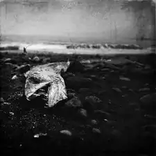 3040083847_134db83d2c_z