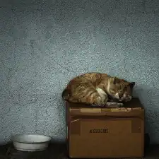 417292078_ebef5f7ca7_z