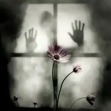 5000853054_aa9af6eb37_z