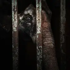 635581214_1a5939235a_b