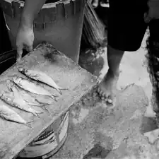 Manila North Cemetery