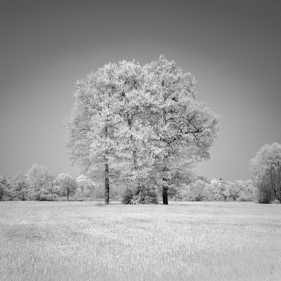 _MG_0262_INFRARED_BW