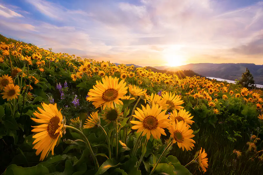 Landscapes photography of Michael Bollino