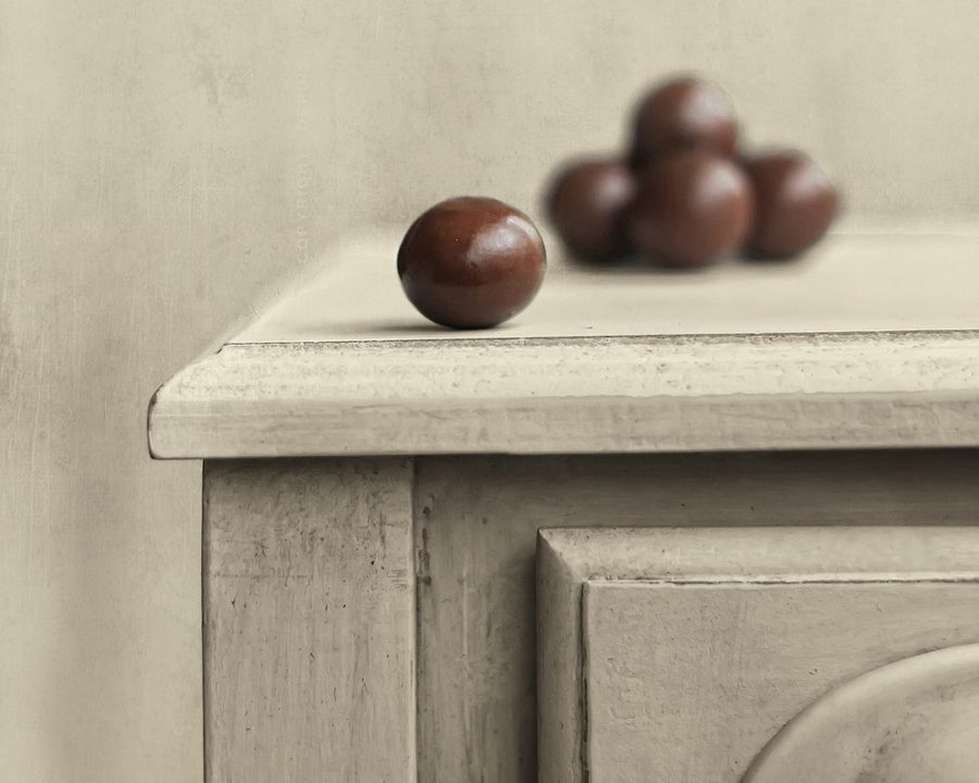 Still lifes by Belén Argüeso