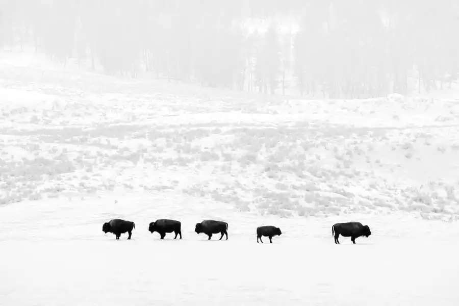 Photography, landscape and silence by Chuck Kimmerle