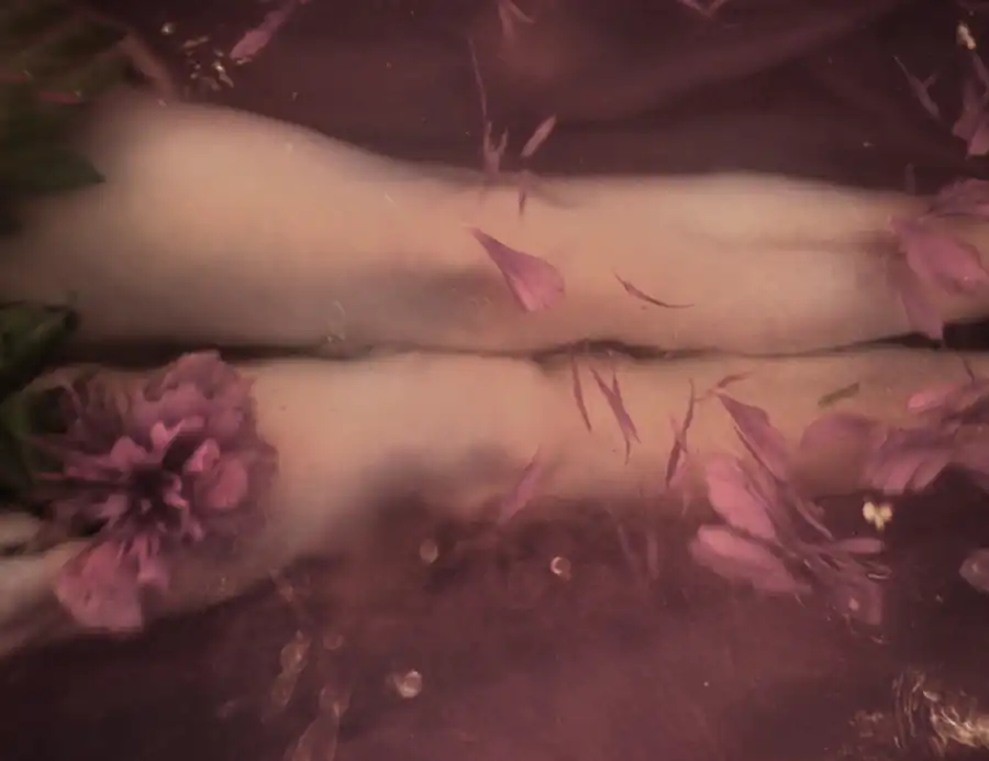 21_Renata Vogl_peonies