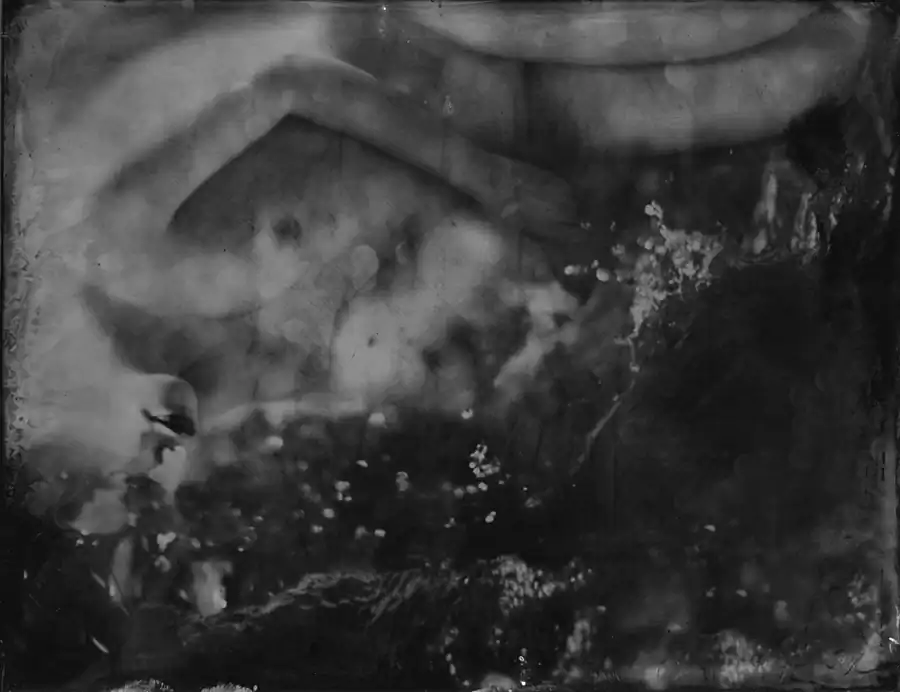 25_Renata_Vogl_scanned original ferrotypie,nymph, original size 13x10 cm