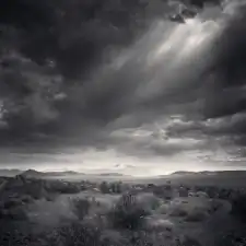 A_Very_Present_Silence