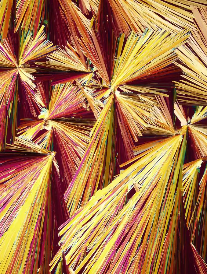 Abstract images; Photomicrography by Mike Dingley