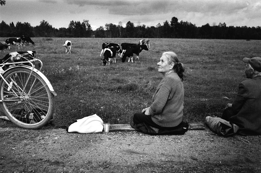 tverskaya_oblast_shepherds