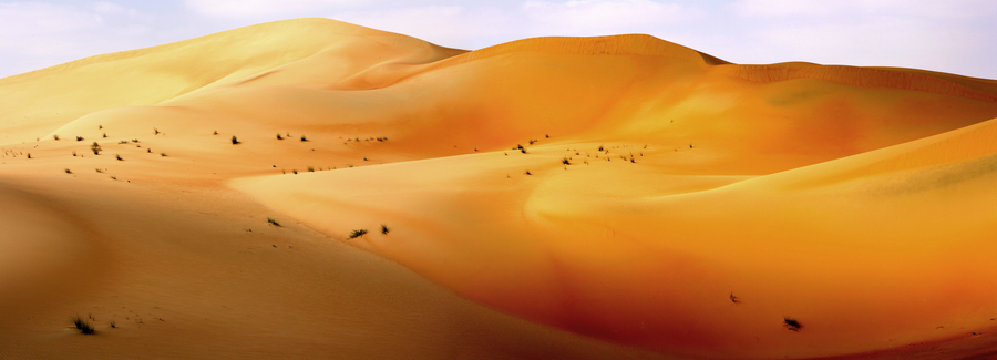 Desierto del Empty Quarter_Liwa Oasis_Emiratos Arabes0167