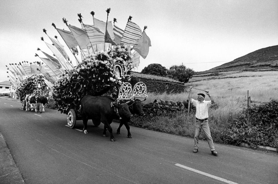 Rosais, domingo da Trindade, 2004. Desfile dos carros.