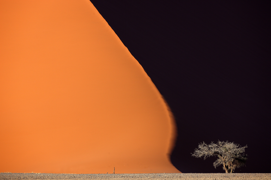 Parque Nacional Desierto de Namibia61