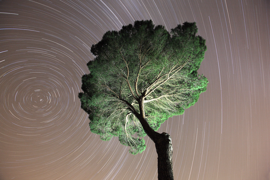 Startrails