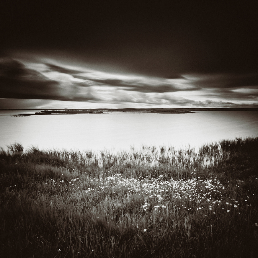 0202 - Villafafila Lagoons Series (n.05)