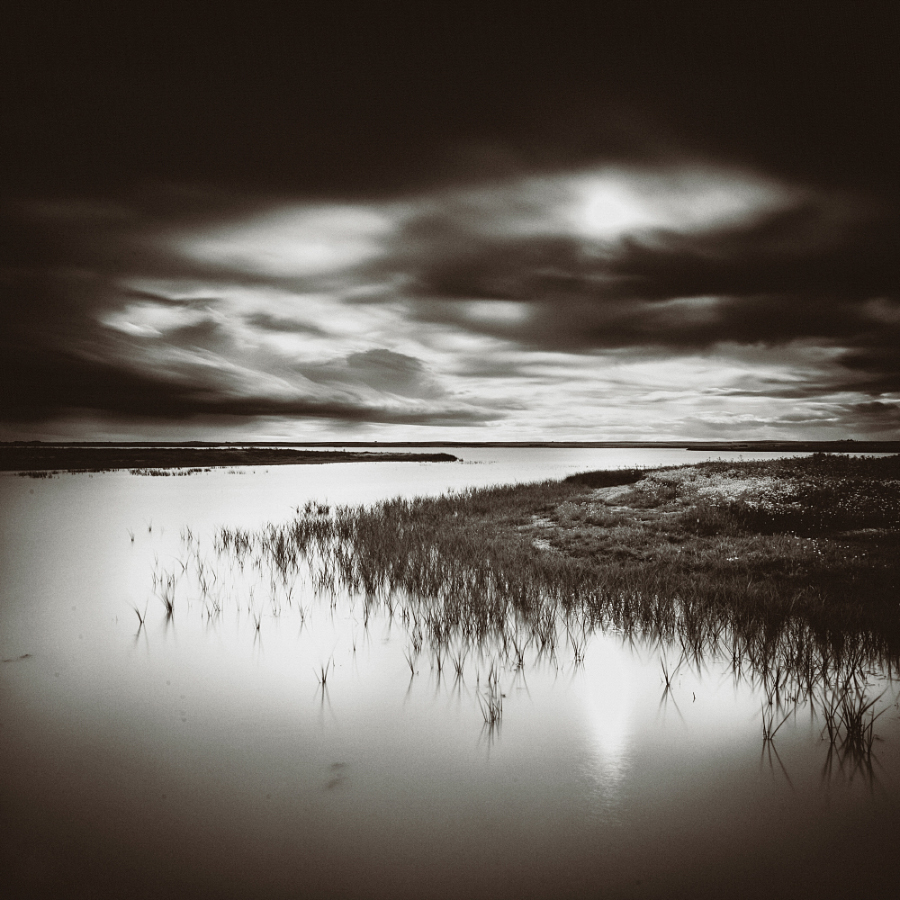 0203 - Villafafila Lagoons Series (n.06)