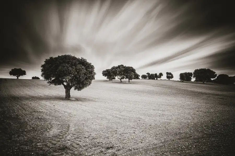Landscapes; Our smallness to the world by Eduardo Almeida