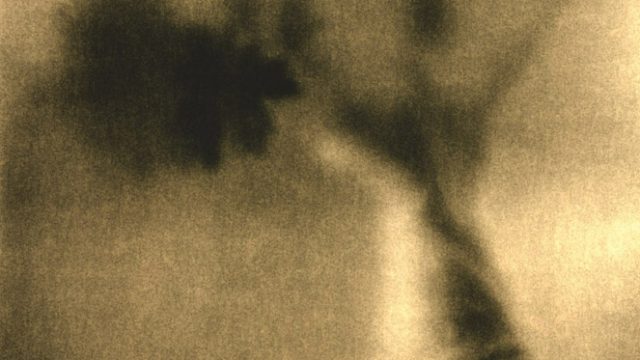 Human form; Coming From Darkness by Susan de Witt