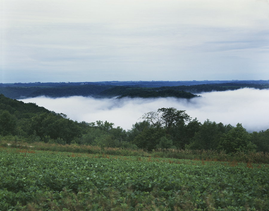 Fog in the Valley