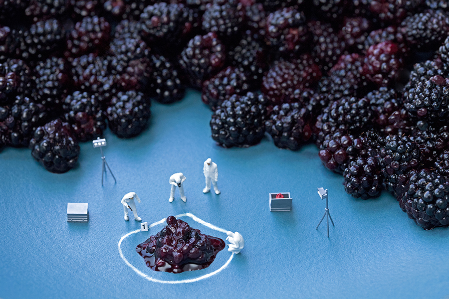 blackberry CSI 900px by Christopher Boffoli