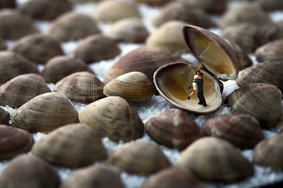 clamshell lovers 900px by Christopher Boffoli