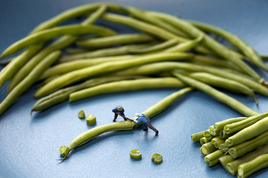 green bean sawmill 900px