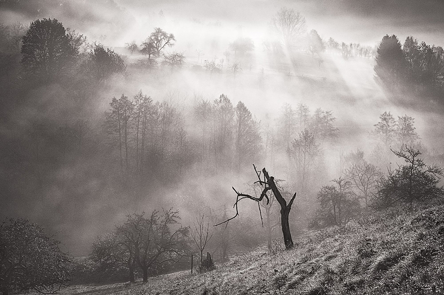 schafberg-november