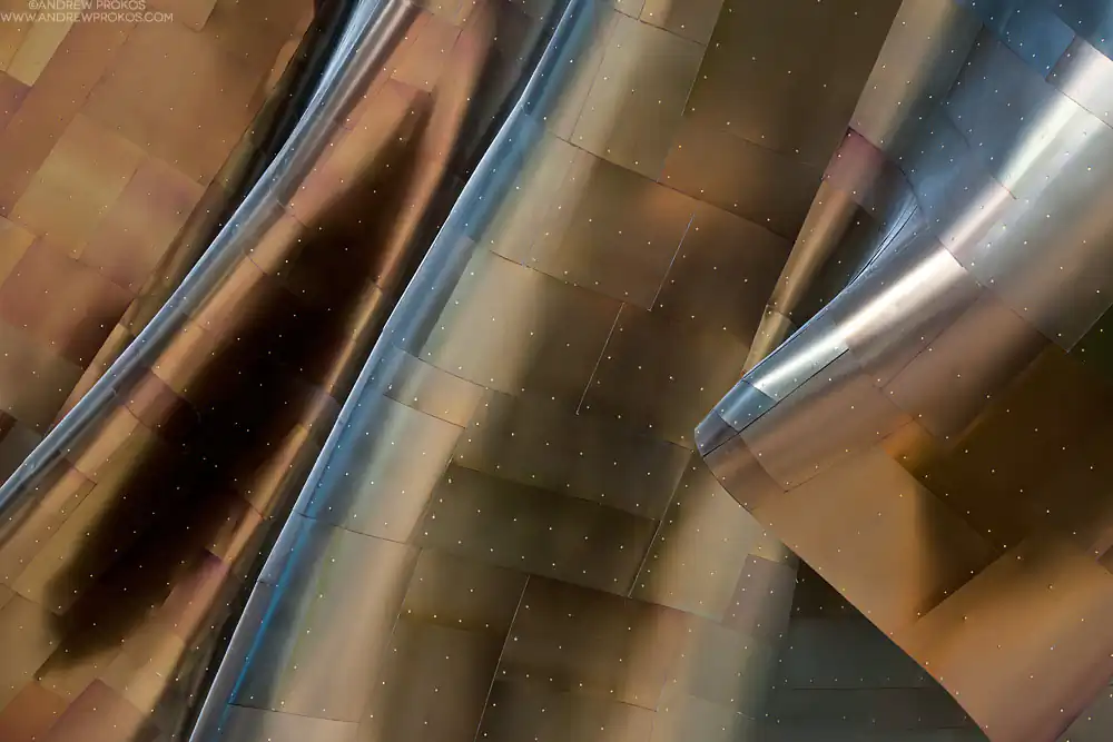 Architectural shoot; Gehry’s Children by Andrew Prokos