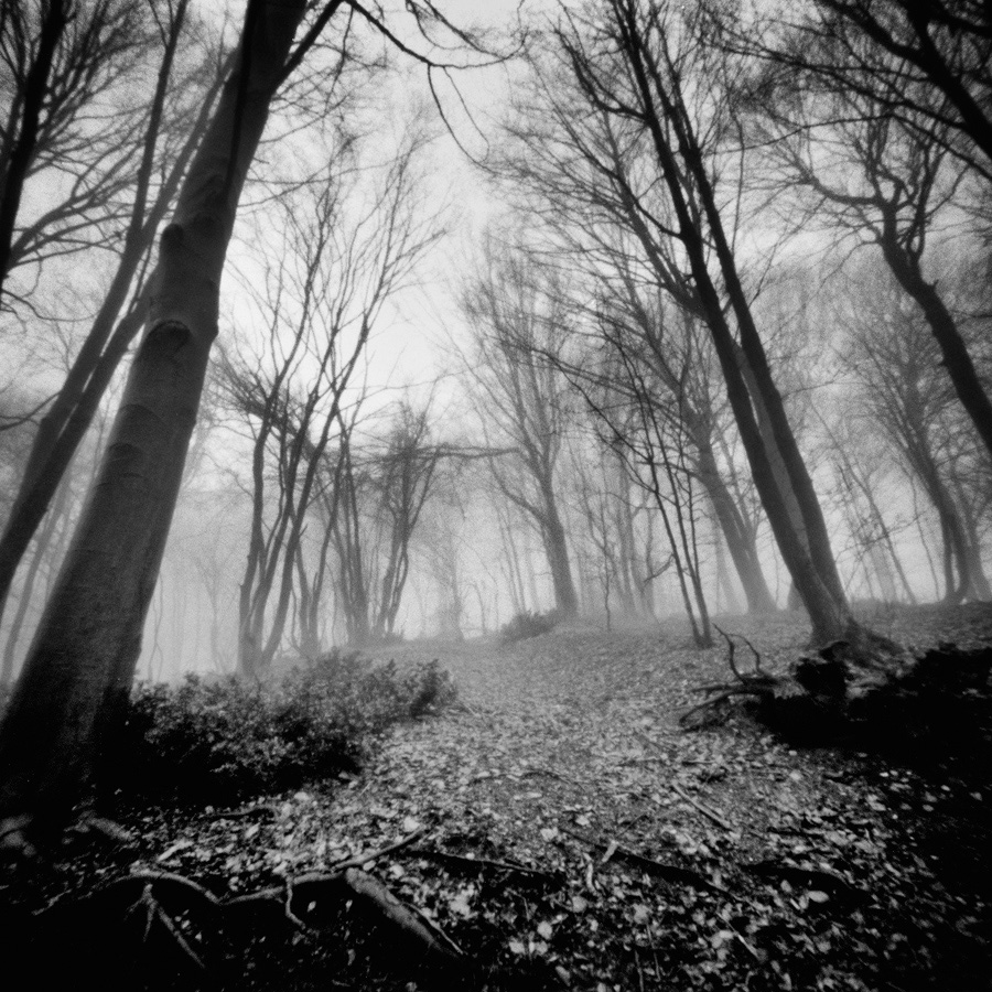 Pinhole Photography