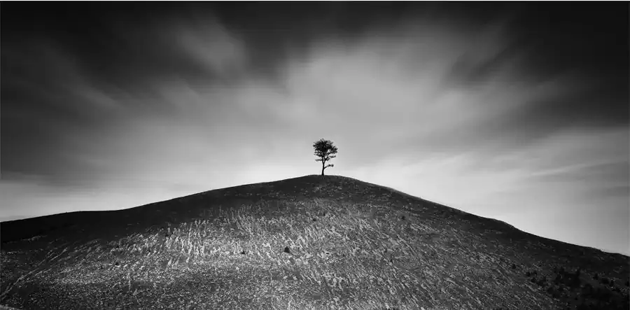 Carmelita Iezzi – Between darkness and light