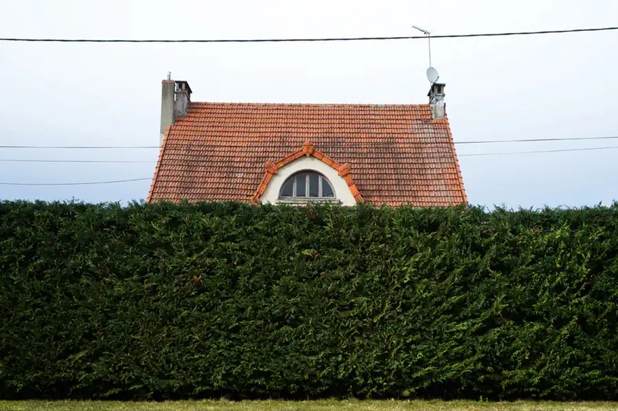 Houses and property; Lignes Vertes by Alexandra  Davy