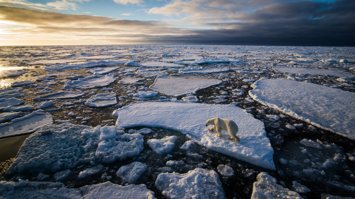 Towards the sun Arctic 10