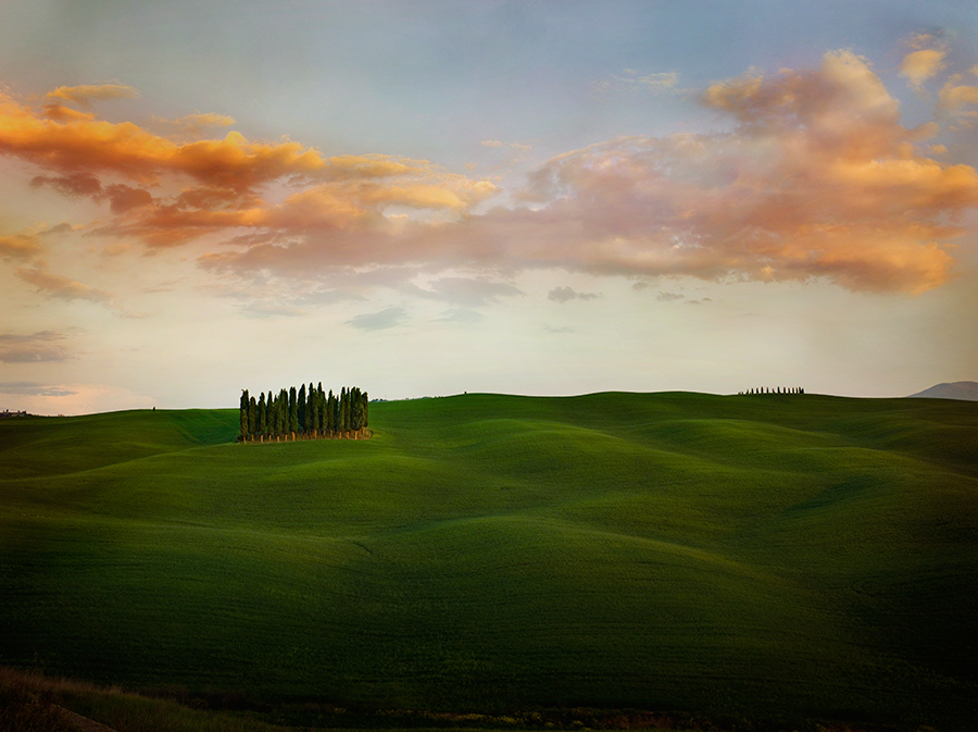 Cypress Grove II, Val d'Orcia, Tuscany