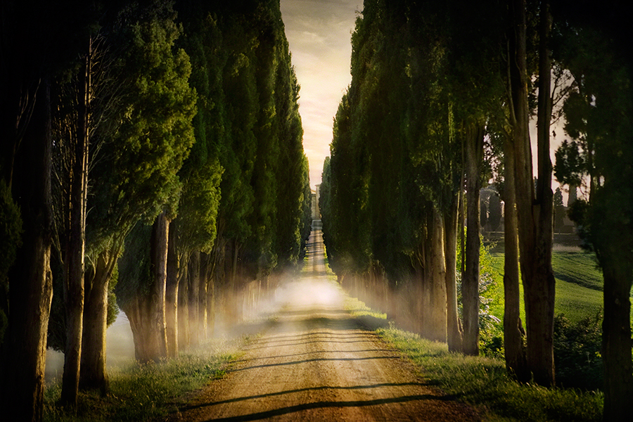 Cypress Lined Road II, Siena, Tuscany