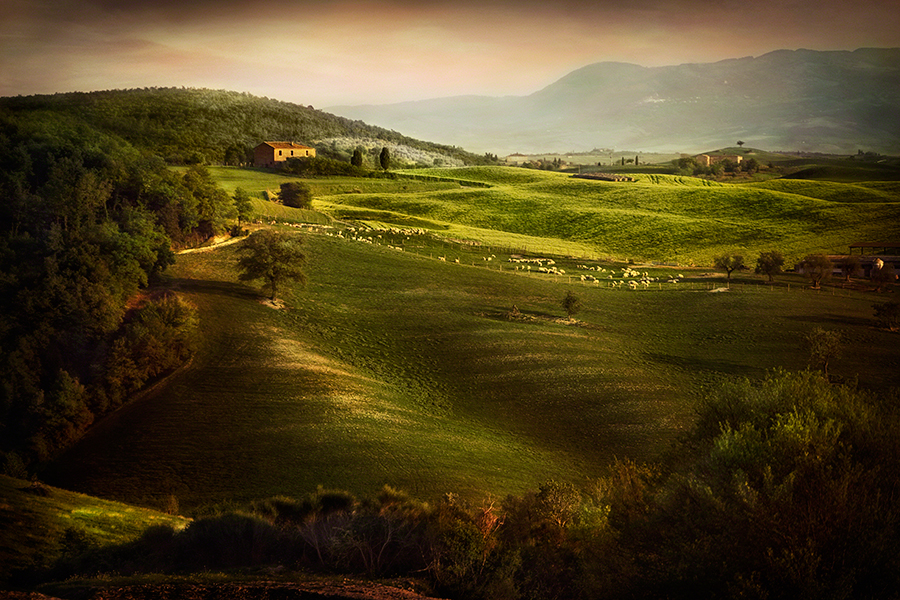 Rolling Valley, Tuscany