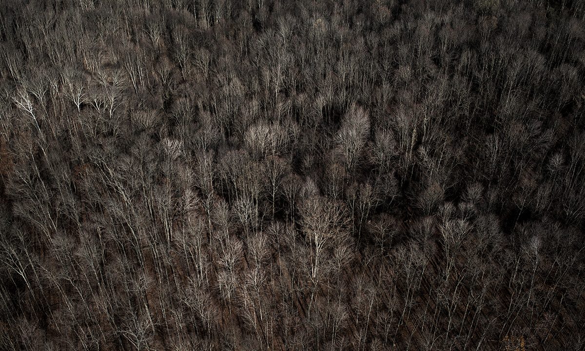 Morten Germund – Bring me home, Ohio