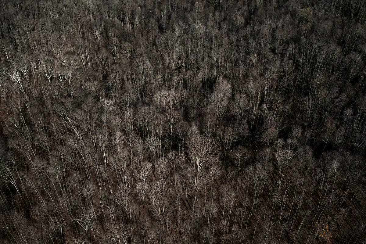 Morten Germund – Bring me home, Ohio