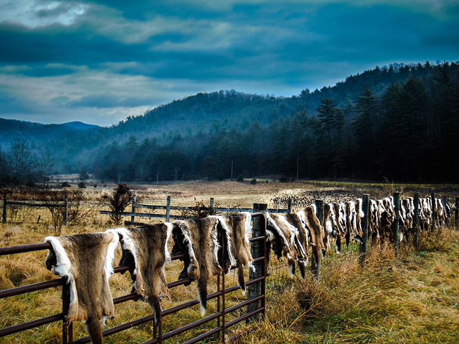 Life_Landscape-Tom Fallon Photography