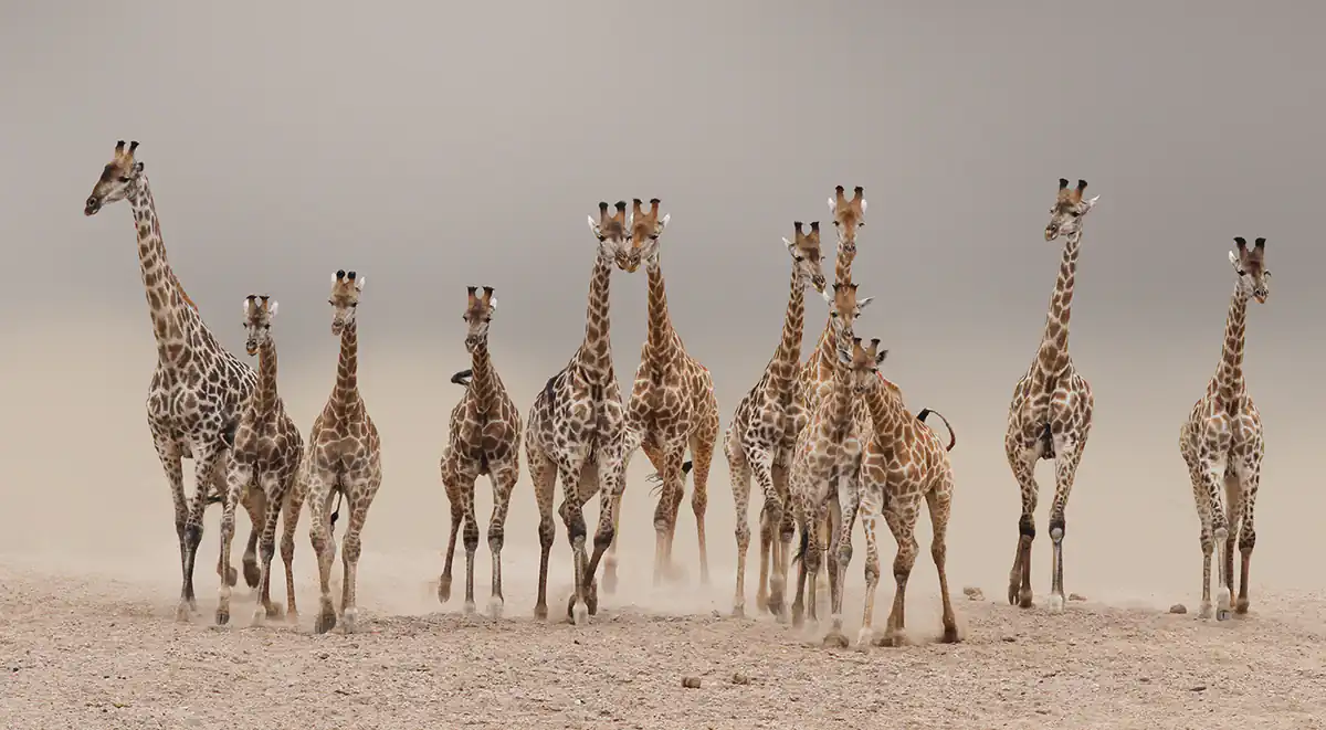 Travel photography; Africa Through my lens by Frederick van Heerden