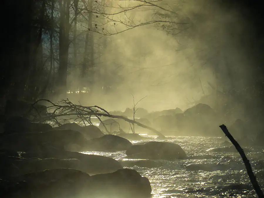 Morning Mood-Tom Fallon Photography