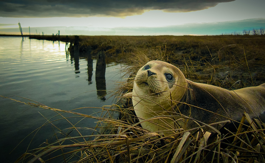 Mutual Curiosity-Tom Fallon Photography