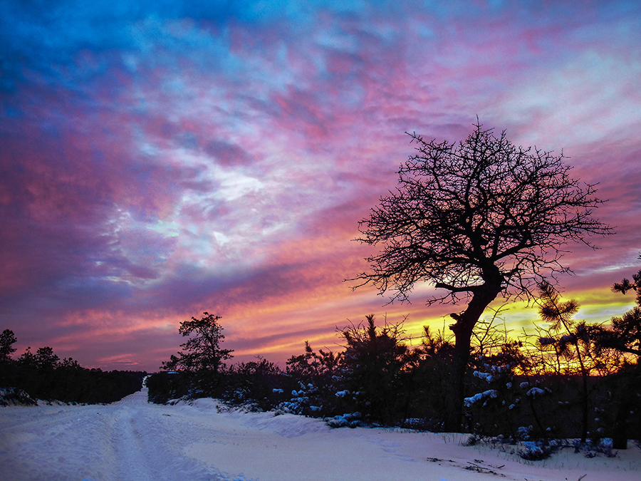 Waking-Tom Fallon Photography