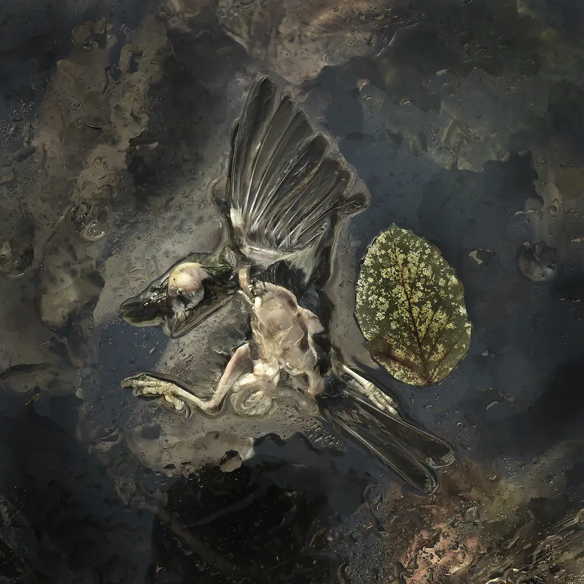 A sight for sore eyes by Einar Sira