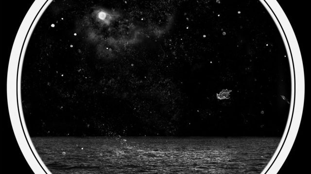 Biology and astronomy; Saw the Splendour by Osheen Harruthoonyan