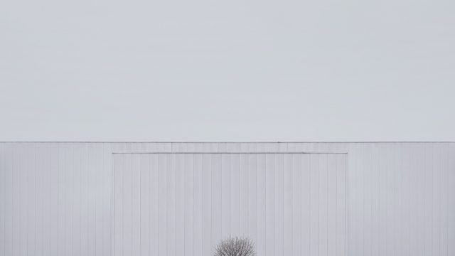Edyta Dufaj : Between pure objectivity and ethereal dream