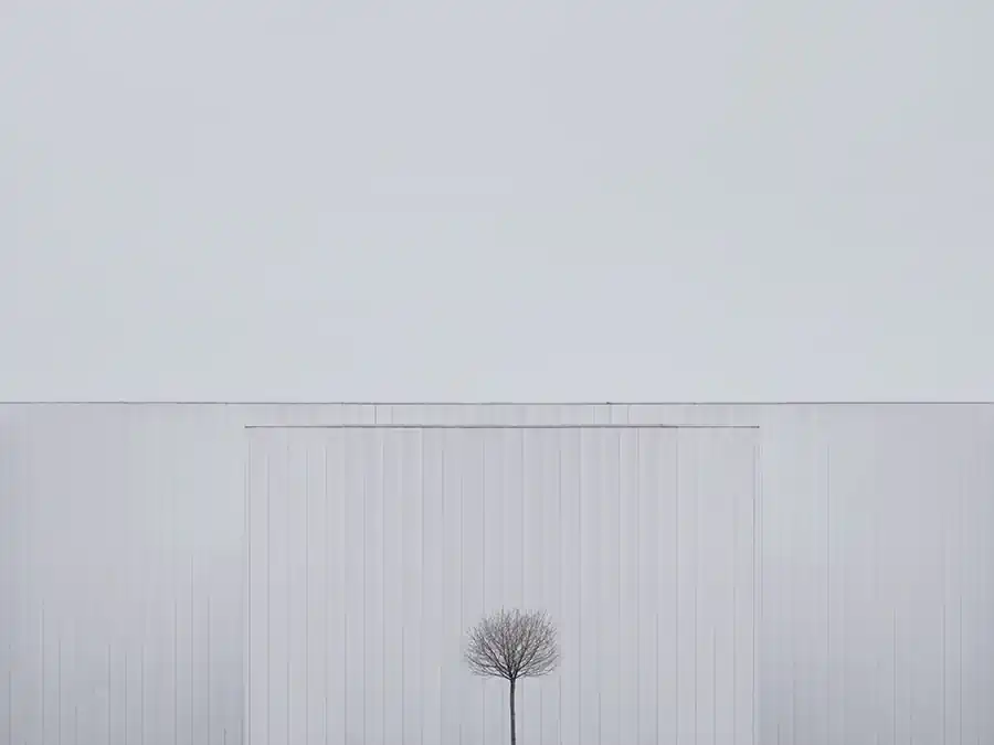 Edyta Dufaj : Between pure objectivity and ethereal dream