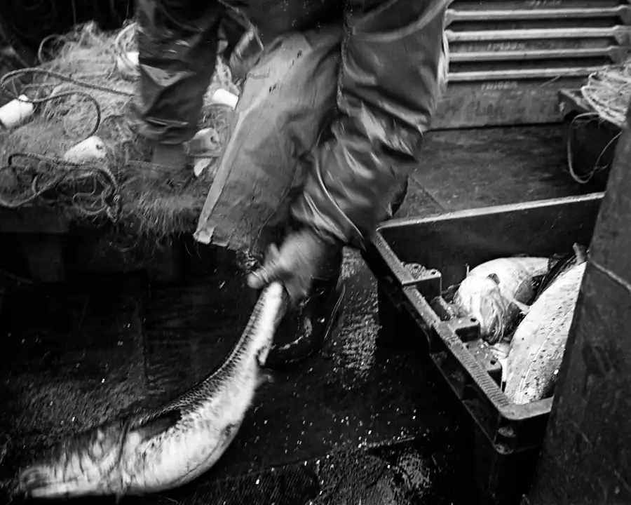 11.11.09 Dom Dziecka Wnętrza